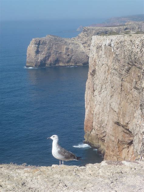 Cabo De Sao Vincente Sagres Algarve Portugal A La Pointe Murielle