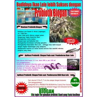 Jual Probiotik Biogan Khusus Untuk Budidaya Ikan Lele Ml Shopee