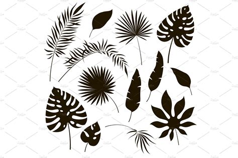 Tropical Leaves Silhouettes Black Texture Illustrations Creative