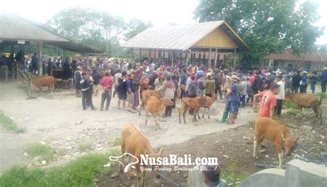 Nusabali Pasar Hewan Tutup Puluhan Juta Hilang