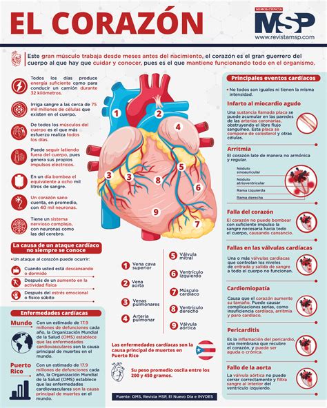 El Corazón