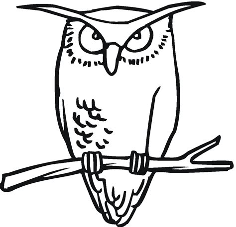 Cartoon Owl Coloring Pages - Cliparts.co