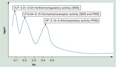 Heart Rate Variability In The Frequency Domain Analysis Hf High