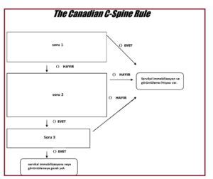 Kanada C Spinal Kurallar D Lama Kriterleri Medhesap