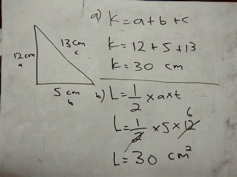 Cara Menghitung Luas Segitiga Siku Siku Suka Ngitung