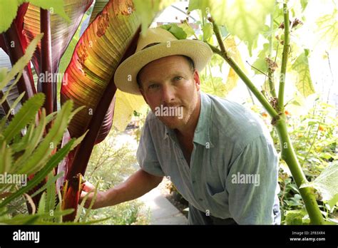 Tom Hart Dyke attends to his plants in the gardens of Lullingstone Castle in Eynsford,Kent ,UK ...