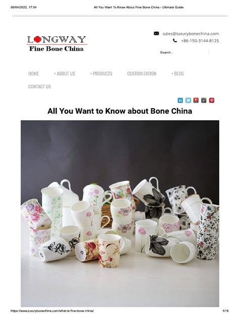 All You Want To Know About Fine Bone China - Ultimate Guide | PDF