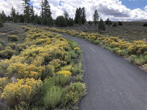 Best 10 Hikes and Trails in Red Canyon | AllTrails