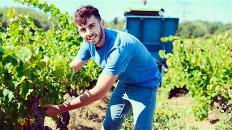 Planas Augura Que El De Agricultores Se Jubilar N En A Os