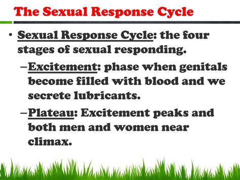 Module 36 Sexual Motivation Ppt Download