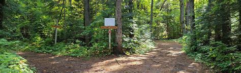 Magic Forest Loop 46 Reviews Map Ontario Canada Alltrails