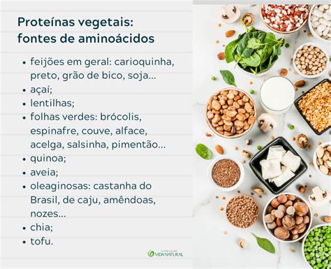 Proteínas Vegetais Principais Fontes De Aminoácidos Proteínas