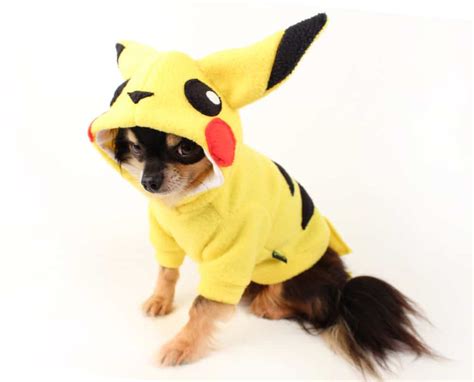 Small And Large Dog Costumes For Every Occasion - NoveltyStreet