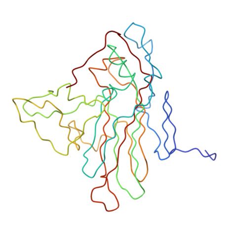 Rcsb Pdb 1nn8 Cryoem Structure Of Poliovirus Receptor Bound To