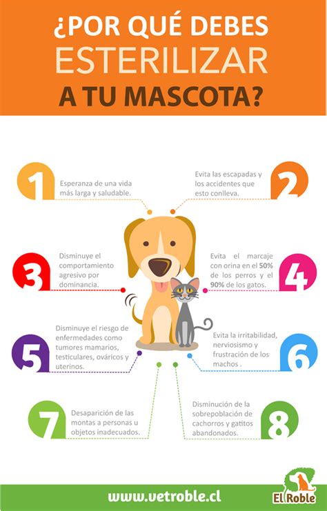 Esterilización Castración de nuestras mascotas El Roble