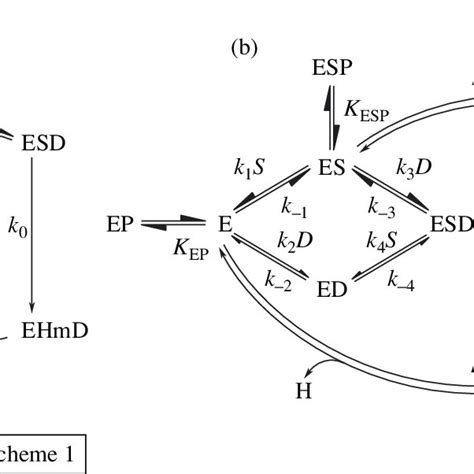 Kinetic Schemes For The Mtase Reaction 1 Sequential Ordered