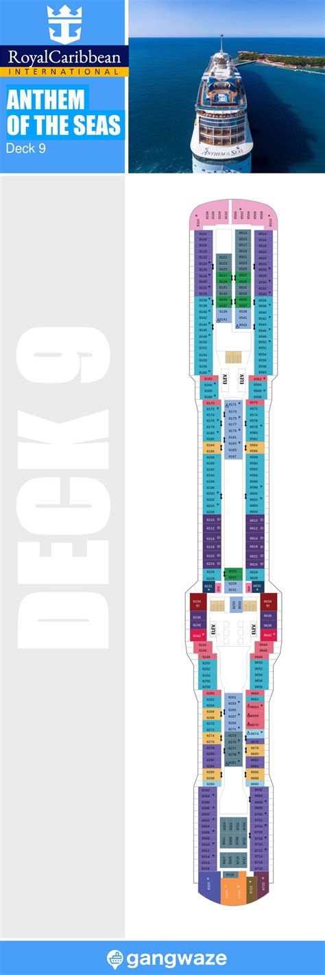 Anthem Of The Seas Deck 9 Activities And Deck Plan Layout