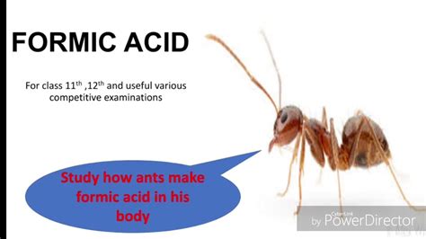 Preparation Methods Of Formic Acid And Physical Properties Youtube