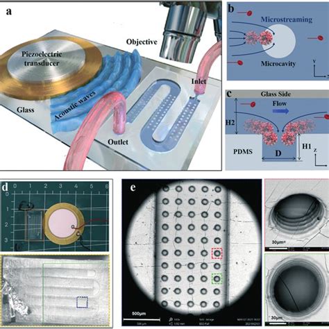 Label Free Ctc Isolation By Acoustic Streaming In A Microfluidic Chip