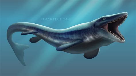 The Largest Mosasaur Tylosaurus Rdrawing