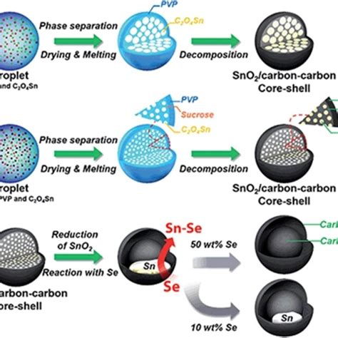 Formation Mechanisms Of The Coreshellstructured Sno Carboncarbon