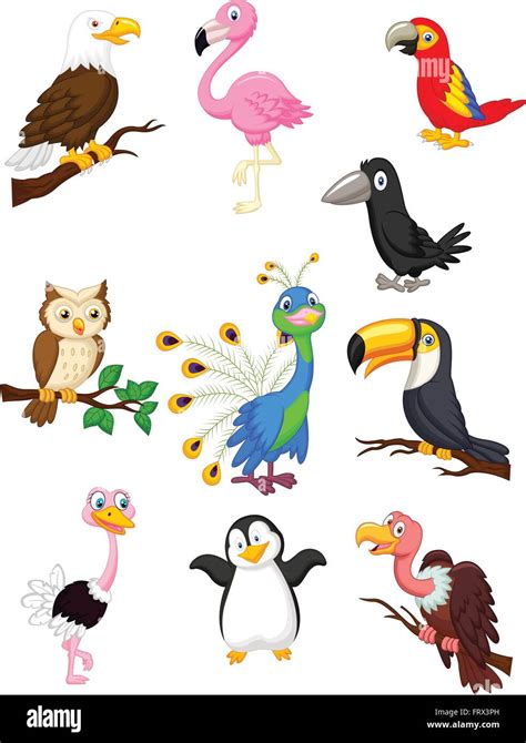 Bird cartoon collection Stock Vector Image & Art - Alamy