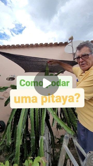 Sebasti O De Souza Vitor On Instagram Aprenda A Podar A Sua Pitaya