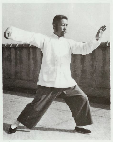 Tai Chi 8 Form Names (Yang Style) » Enter Shaolin | Learn Kung Fu Online