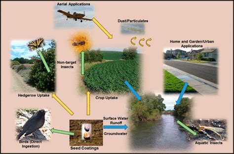 Environmental Risks And Challenges Associated With Neonicotinoid