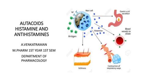 Histamines And Antihistamines Ppt