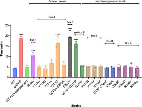 Efflux Of Ethidium Bromide By The Salmonella Typhimurium Sl1344 Δ4pap