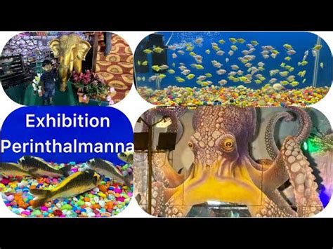 Exhibition @Perinthalmanna/DJ Amusement - YouTube