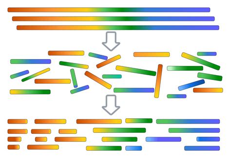 Assembly I Assembling Contigs Metagenomics Summer School