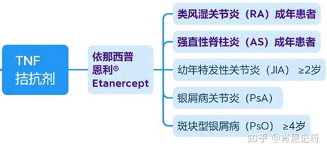 如何记住所有fda批准生物药？ Tnf拮抗剂 恩利®依那西普 类风湿关节炎、强直性脊柱炎生物药 知乎