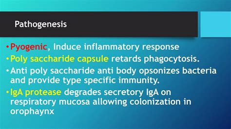 Streptococcus Pneumoniae Bacteria Microbiology Lecture Ppt