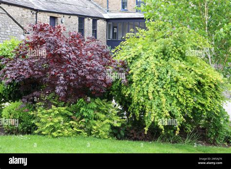 Brewery Arts Centre, Kendal, gardens Stock Photo - Alamy