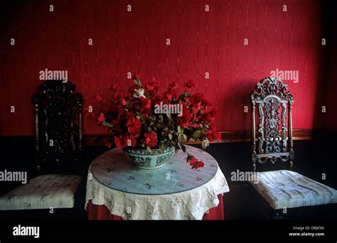 Red roses, Great House, Rose Hall Plantation, Jamaica Stock Photo - Alamy