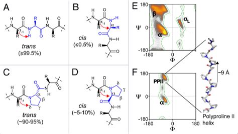 Chemical Structure Of Peptide Fragments In Trans A And C And Cis