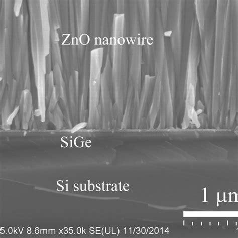 Cross Sectional Sem Image Of The Transaction Of A Zno Nanowire Pixel On