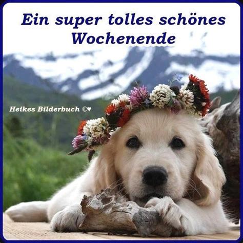 ᐅ Wochenende Bilder Hund GB Pics GBPicsBilder