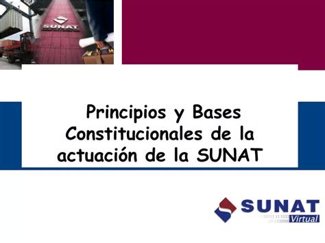 PPT Principios y Bases Constitucionales de la actuación de la SUNAT