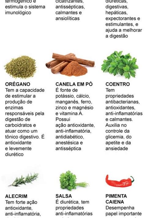 Conheça 15 Temperos Que Fazem Bem Para A Saúde Ervas Culinárias