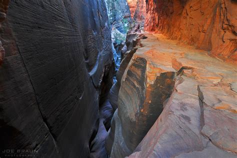 Joes Guide To Zion National Park East Rim Trail Photographs 3