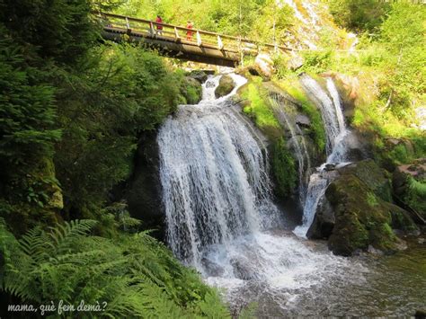 Las Cascadas De Triberg Relojes De Cuco Y Tarta Selva Negra Mama