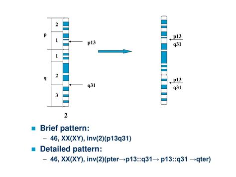 Ppt Medical Genetics Powerpoint Presentation Free Download Id 5183071