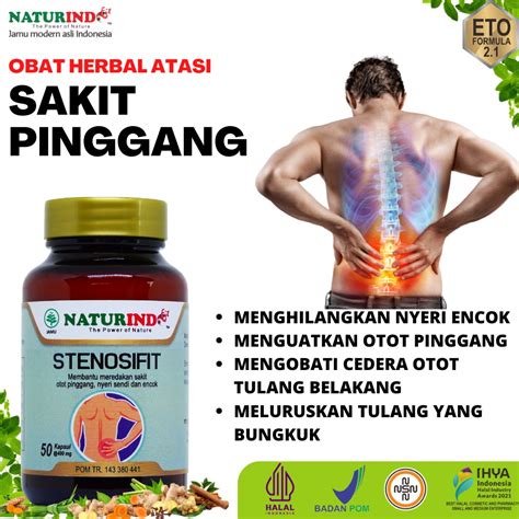 Jual Obat Sakit Pinggang Encok Saraf Kejepit Nyeri Pada Punggung