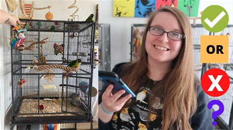 Reacting To My Subscribers Bird Cages 5 BirdNerdSophie YouTube