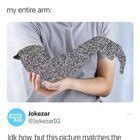 Peter Thats Not A Meme Thats Thats Just Porn R IncreasinglyVerbose