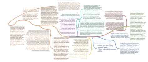 Topic 6 Coggle Diagram