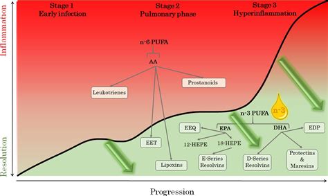 Frontiers Stimulating The Resolution Of Inflammation Through Omega 3